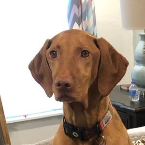 Meet your Posher, Brett